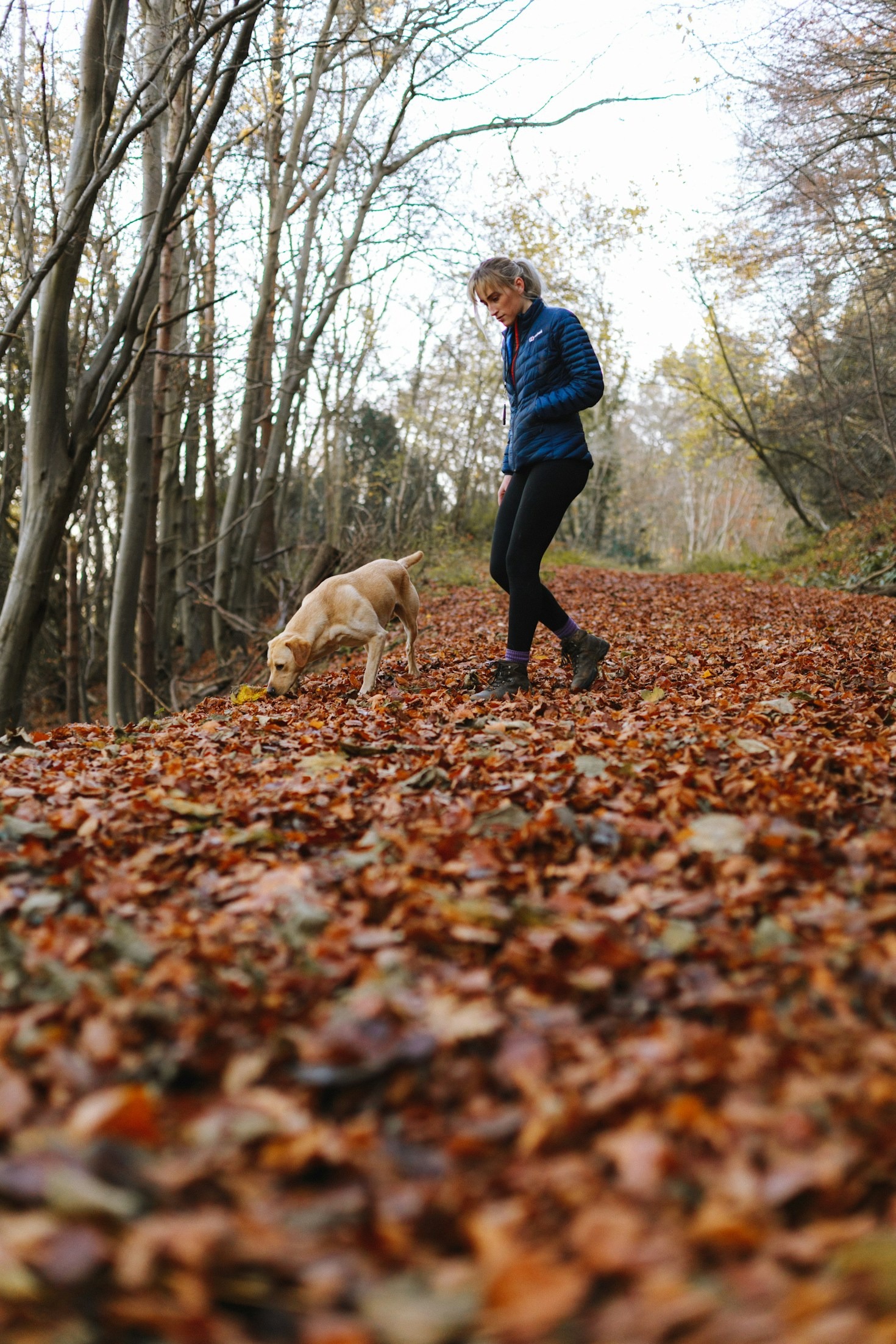 The Ultimate Guide to Dog Care Essentials